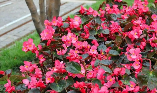 u=489116148,1790680230&fm=253&fmt=auto&app=120&f=JPEG.webp