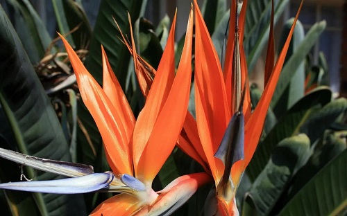 u=709284371,2228963097&fm=253&fmt=auto&app=120&f=JPEG.webp