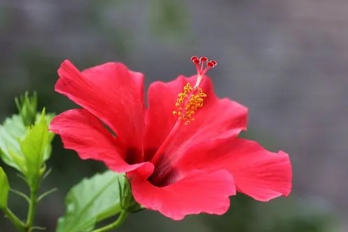 u=7876812,2747910096&fm=253&fmt=auto&app=138&f=JPEG.webp