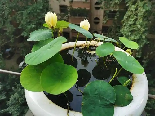 u=875192111,1220759581&fm=253&fmt=auto&app=138&f=JPEG.webp