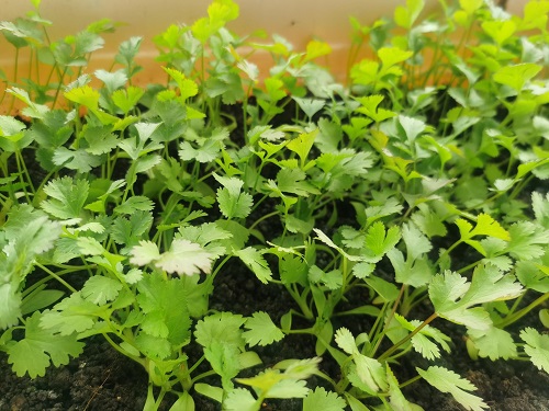 v2-c7a5976736daaf1ae9f8a7c83d6d5a23_r v2-c7a5976736daaf1ae9f8a7c83d6d5a23_r