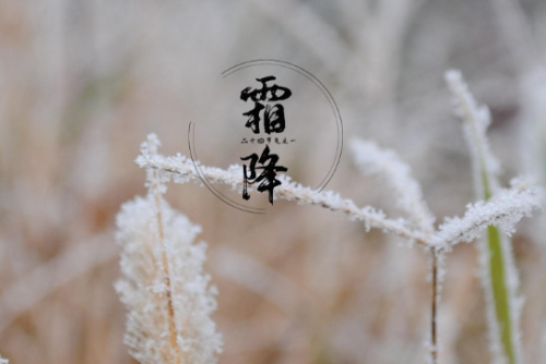 wxtp_20231024091439