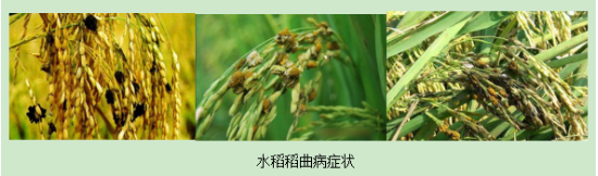 wxtp_20250616105620