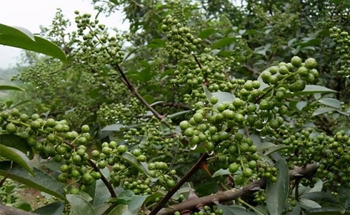 下载 (9)