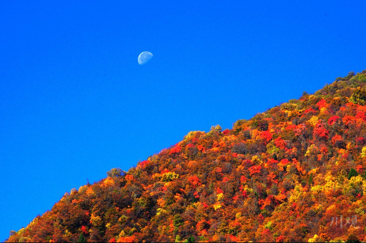 11.9.07