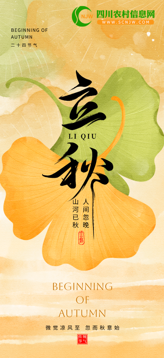 2025liqiu3