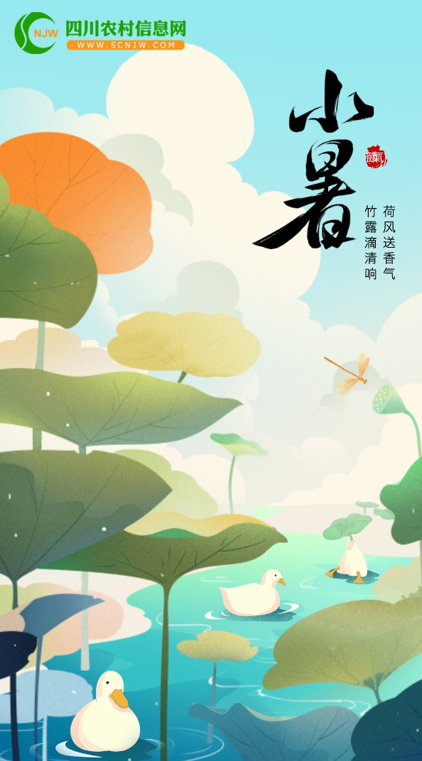 2025xiaoshu2