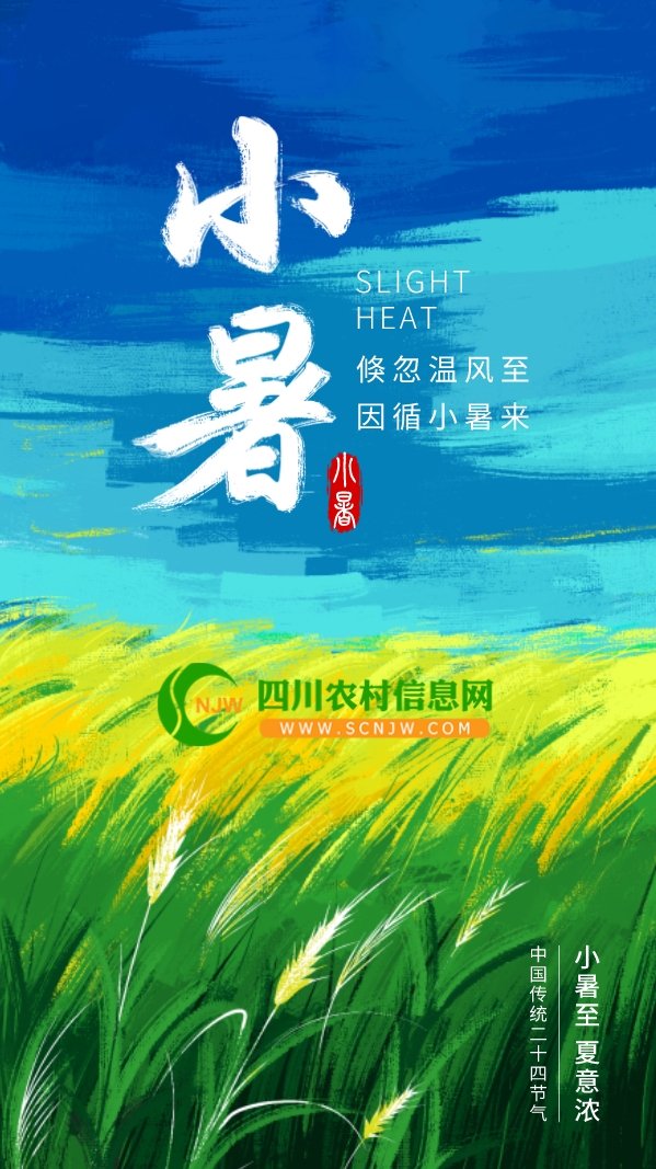 2025xiaoshu3