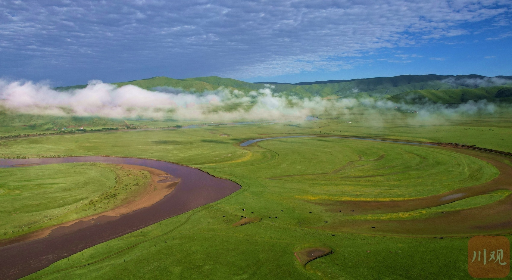 绿色如茵晨雾袅袅在8月遇见红原大草原最美风景