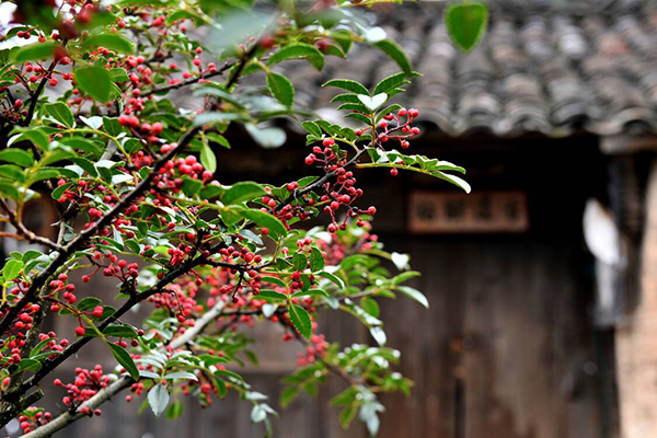 D879608DC399_750_750