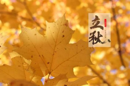 b509218c6f168cea3c03