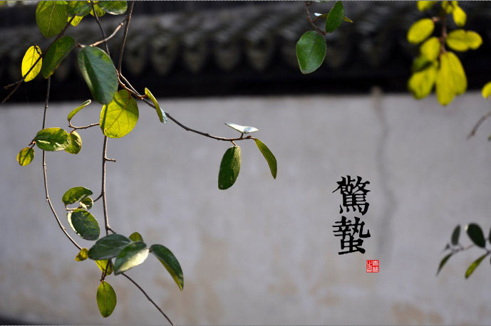 jingzhe02021