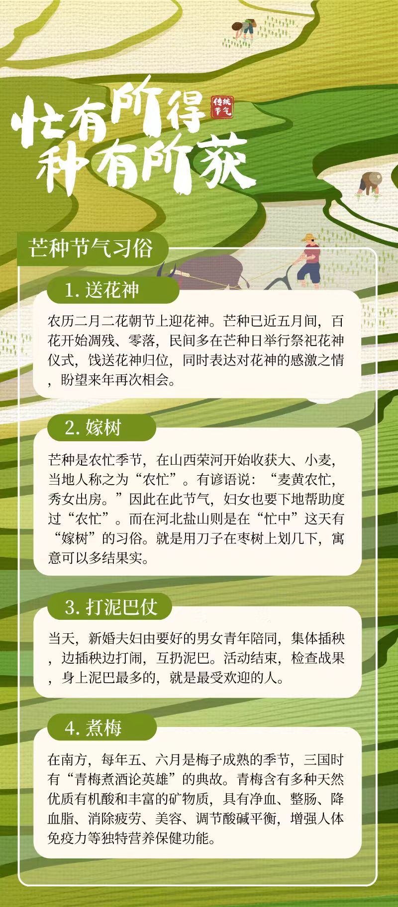 mz_20250604150439