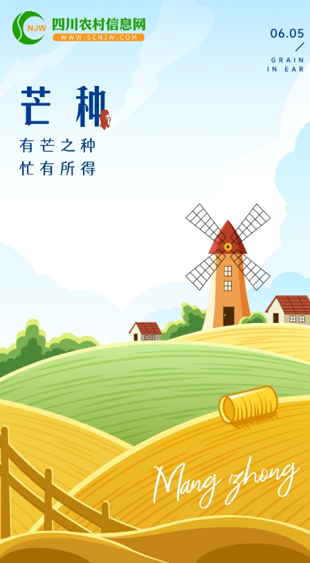 mz_20250604150954