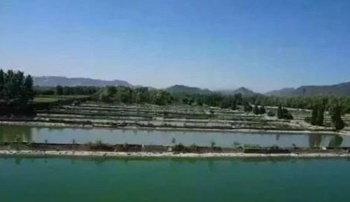 src=http___5b0988e595225.cdn.sohucs.com_images_20171116_4cb8db6eb03c44eca74b82c35c3797df.jpeg&refer=http___5b0988e595225.cdn.sohucs