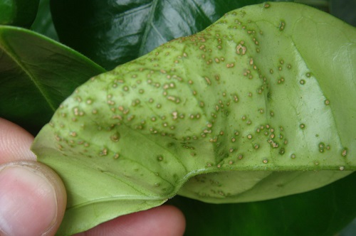 src=http___att.191.cn_attachment_photo_Mon_1305_15441_baeb1367677873807ee986eb33acf.jpg&refer=http___att.191