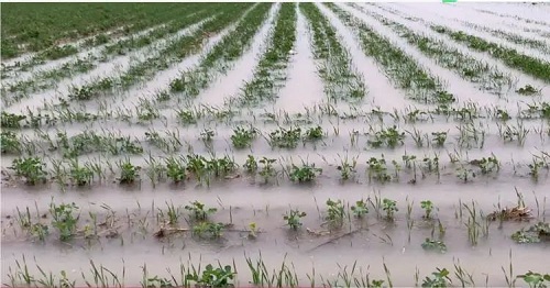 src=http___inews.gtimg.com_newsapp_bt_0_13802130004_1000&refer=http___inews.gtimg