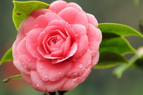 src=http___s1.sinaimg.cn_middle_62baf9b6hbbcd7609e3b0&690&refer=http___s1.sinaimg