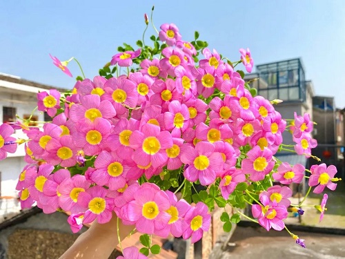 src=http___safe-img.xhscdn.com_bw1_dbb3d9af-cf82-447c-9bef-295e26f27fb3_imageView2_2_w_1080_format_jpg&refer=http___safe-img.xhscdn.webp