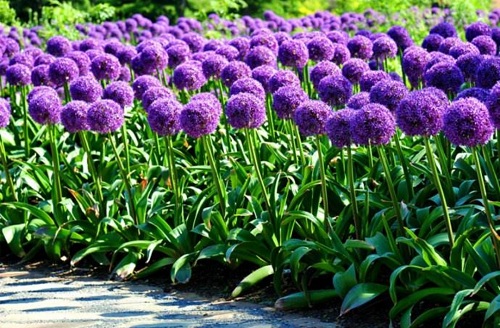 src=http___upload-images.jianshu.io_upload_images_2132728-559b65be1343c0ef.jpg&refer=http___upload-images.jianshu