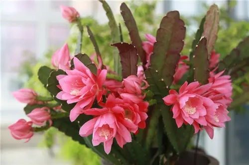 u=1113446877,2291699628&fm=26&fmt=auto&gp=0.webp