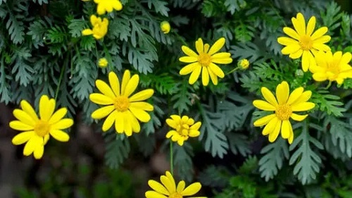 u=1427376556,2833882798&fm=26&fmt=auto&gp=0.webp u=1427376556,2833882798&fm=26&fmt=auto&gp=0.webp