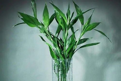 u=158405893,743026016&fm=253&fmt=auto&app=138&f=JPEG.webp