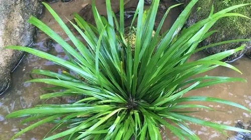 u=3017033935,305042767&fm=26&fmt=auto&gp=0.webp u=3017033935,305042767&fm=26&fmt=auto&gp=0.webp