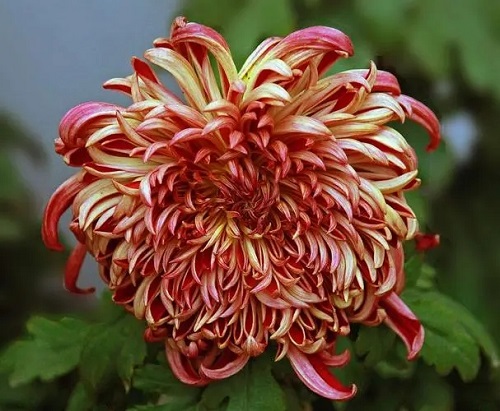 u=3322574908,1059643497&fm=253&fmt=auto&app=138&f=JPEG.webp