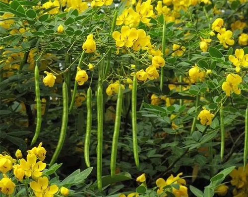 u=3403428869,3844017747&fm=253&fmt=auto&app=120&f=JPEG.webp