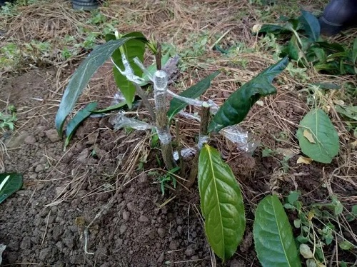 u=39168606,1645979309&fm=253&fmt=auto&app=138&f=JPEG.webp