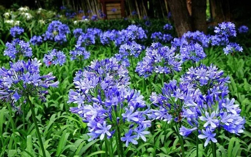 u=965110922,1279860464&fm=253&fmt=auto&app=138&f=JPEG.webp