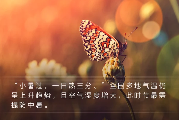 wxtp_20210707085847