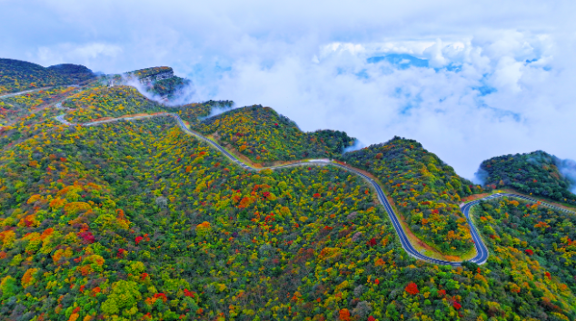 683c7fd5-e527-4fe0-ab23-25f706be655c 683c7fd5-e527-4fe0-ab23-25f706be655c