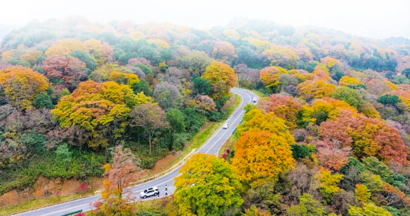 QQ20251030-110850 QQ20251030-110850